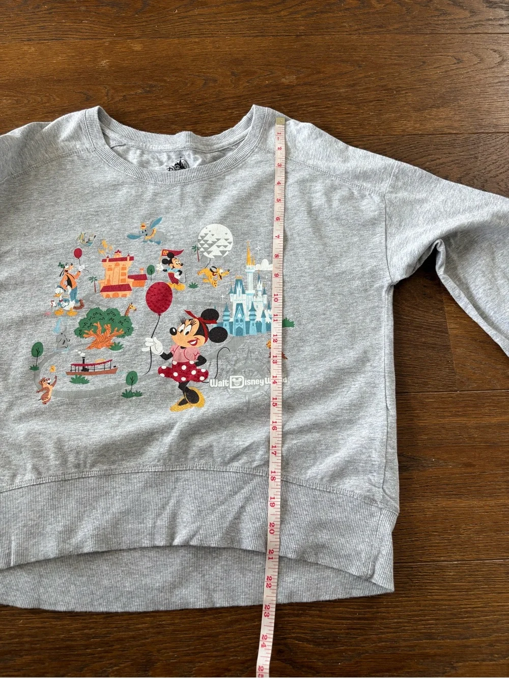 Walt Disney World Park Life Minnie Mouse Gray Crewneck Graphic Sweatshirt - Picture 12 of 12